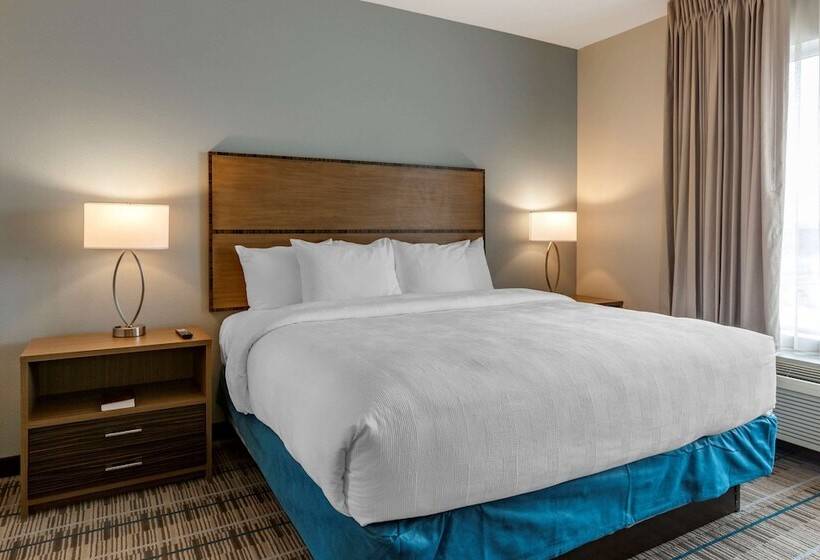 هتل Mainstay Suites Carlsbad South