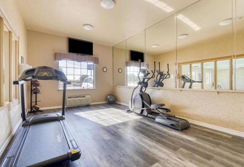 ホテル Nature Inn & Suites