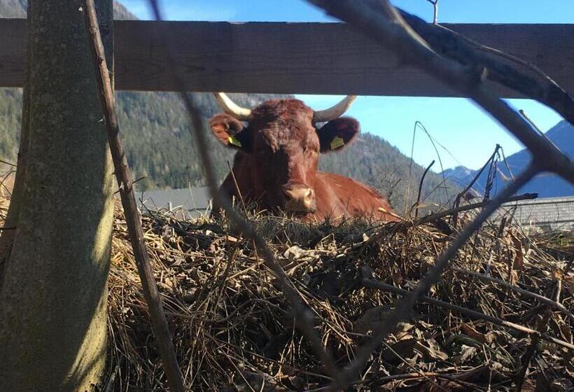 فندق Neusacherhof