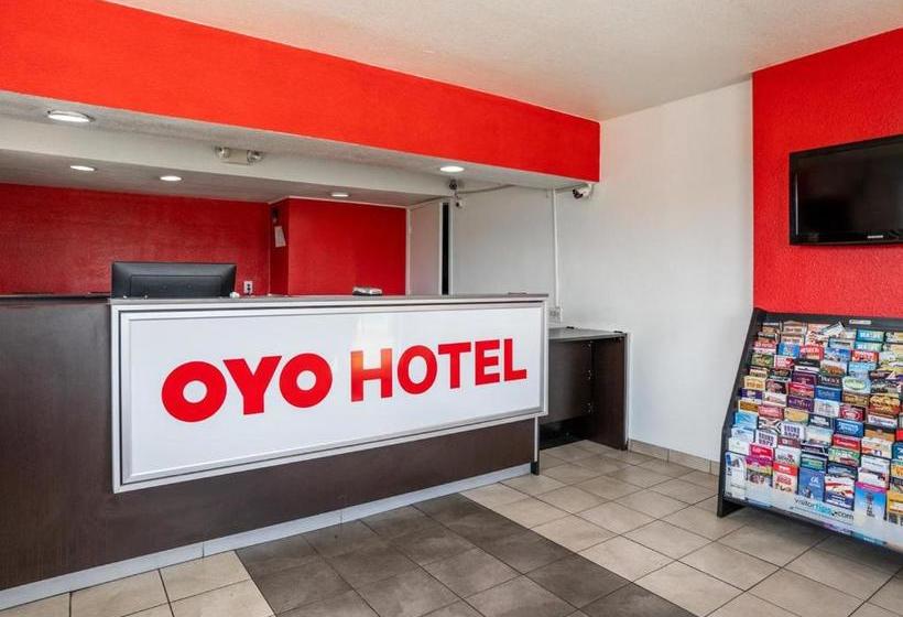 ホテル Oyo Inn