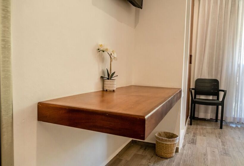 酒店 Pelecanus Suites Holbox