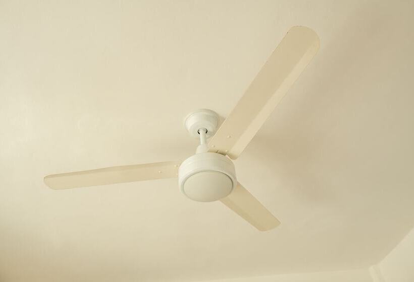 酒店 Pelecanus Suites Holbox