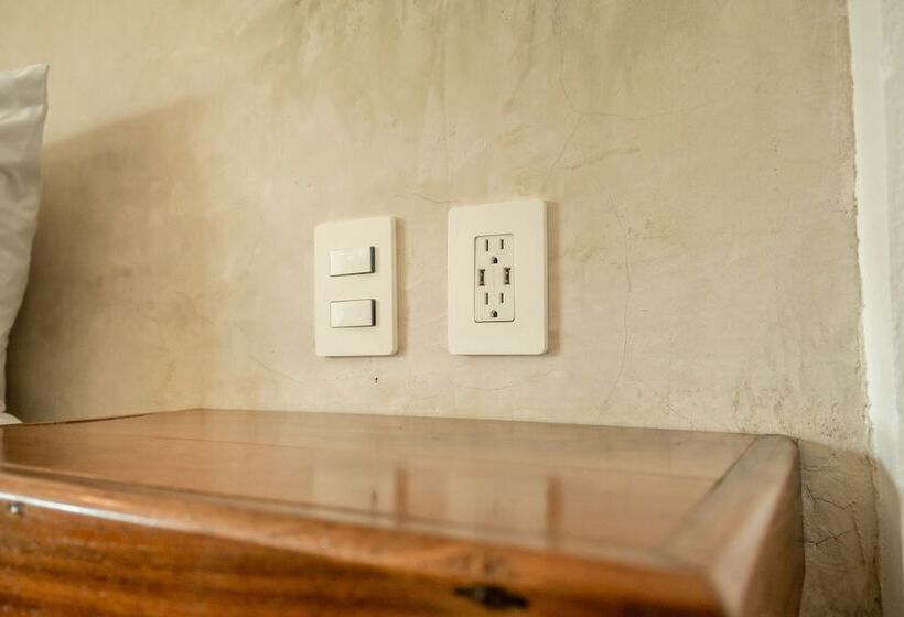 酒店 Pelecanus Suites Holbox