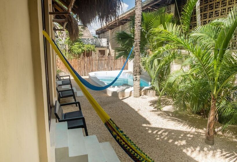 酒店 Pelecanus Suites Holbox