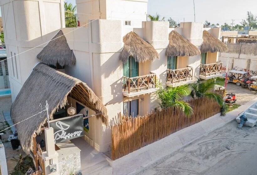 酒店 Pelecanus Suites Holbox