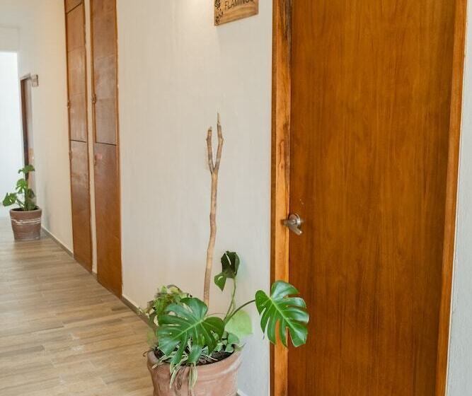 酒店 Pelecanus Suites Holbox