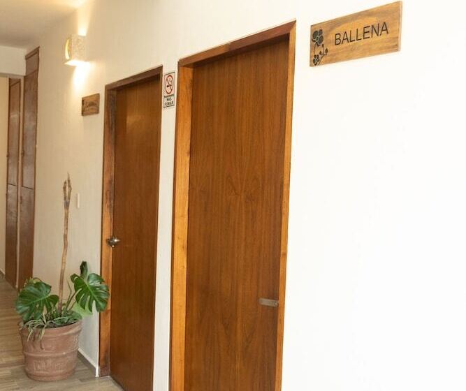 酒店 Pelecanus Suites Holbox