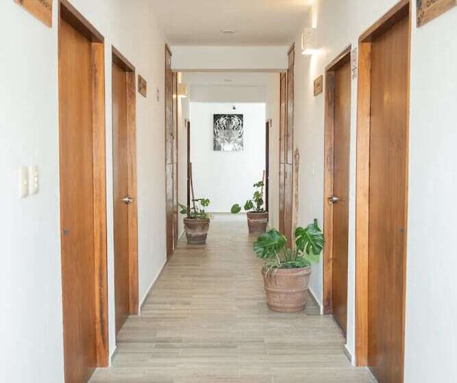 酒店 Pelecanus Suites Holbox