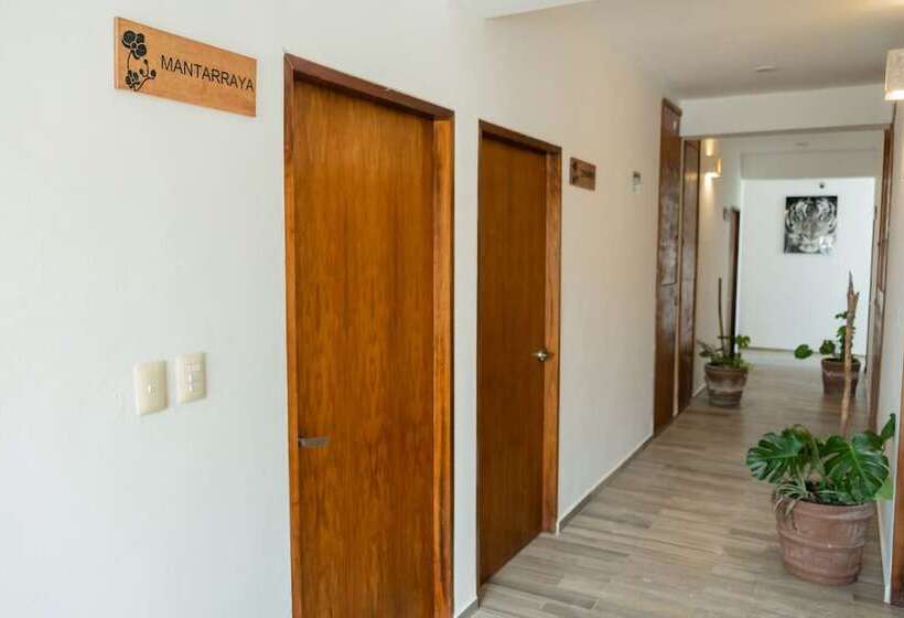 酒店 Pelecanus Suites Holbox