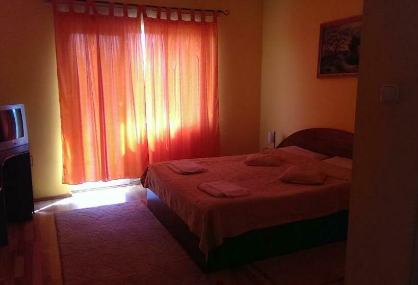 فندق Pensiunea Brigi