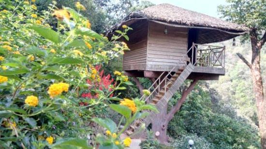 هتل The Heights Munnar