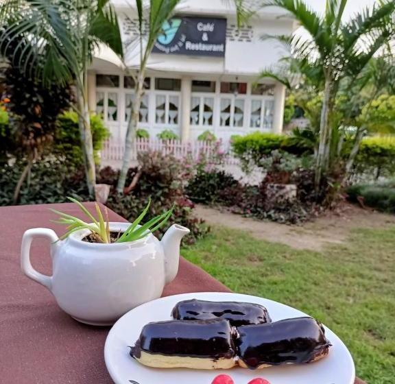 בית מלון כפרי White House