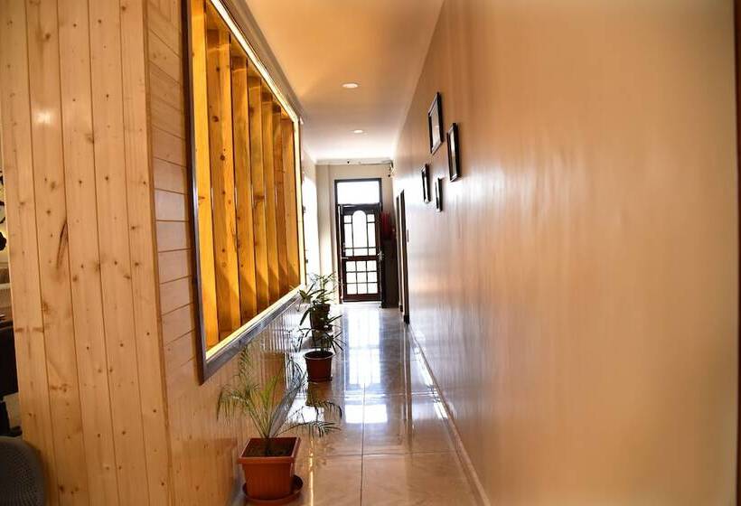 Mastiff Hotel Palampur