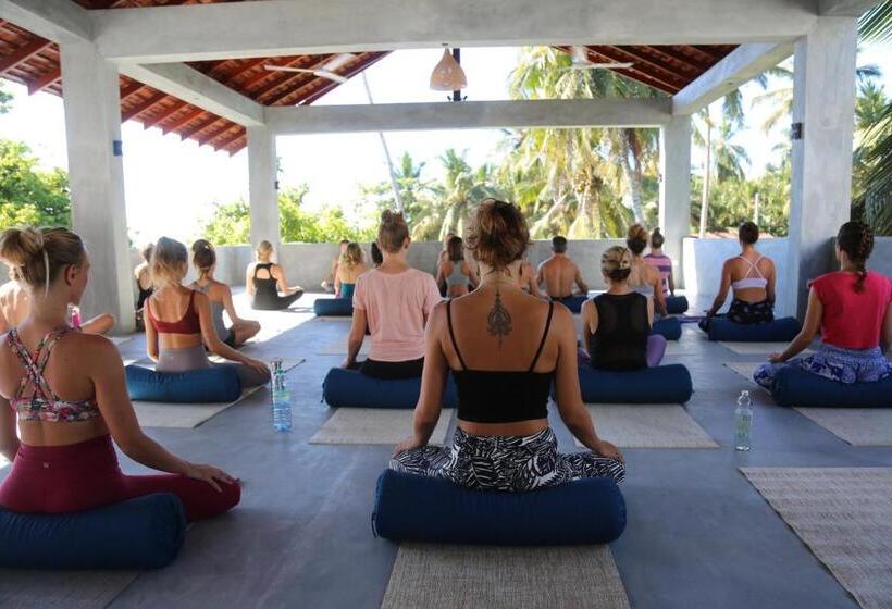 膳宿费 Dots Bay House