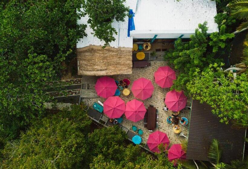 膳宿费 Dots Bay House