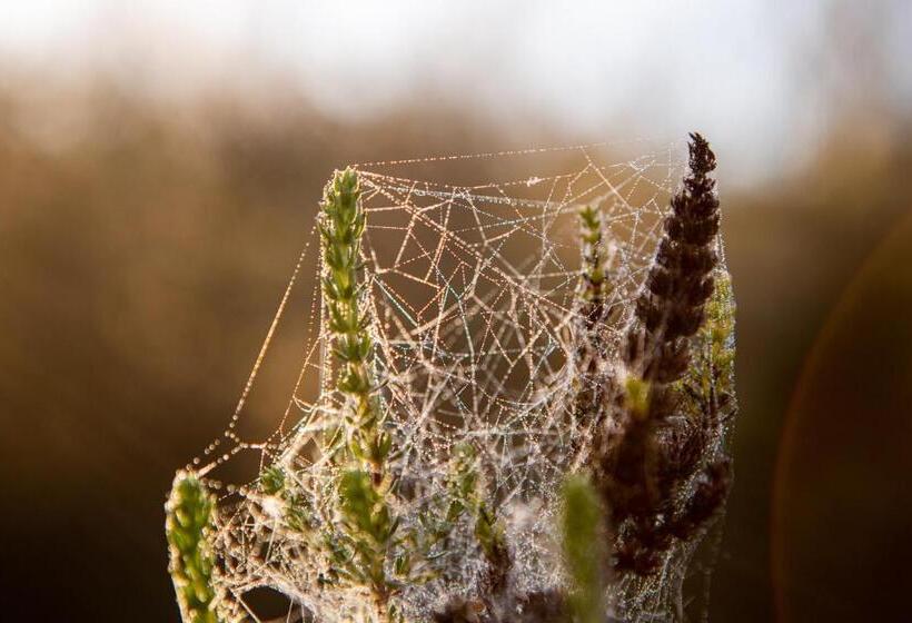 ペンション Equleni Guest Farm