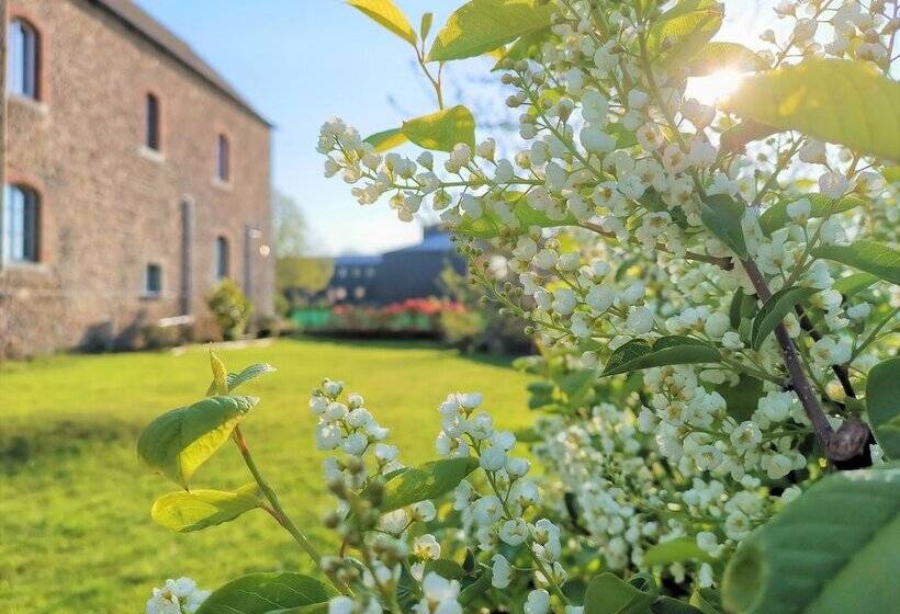 بنسيون La Recreation