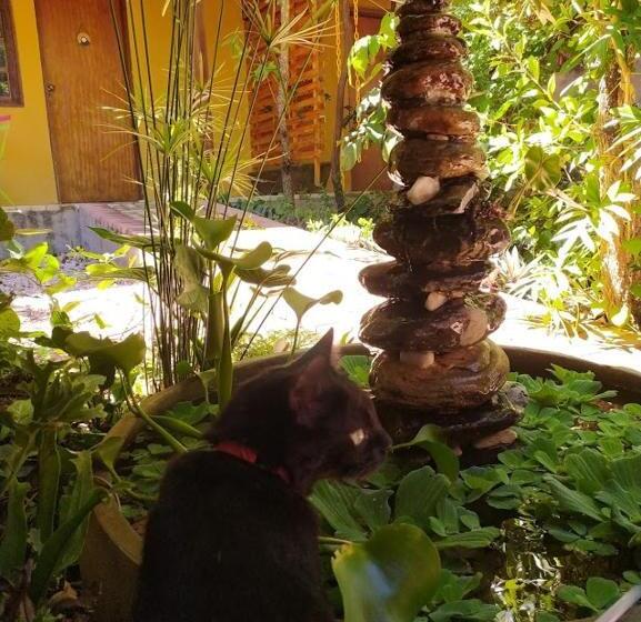 ペンション Maloca Hospedagem