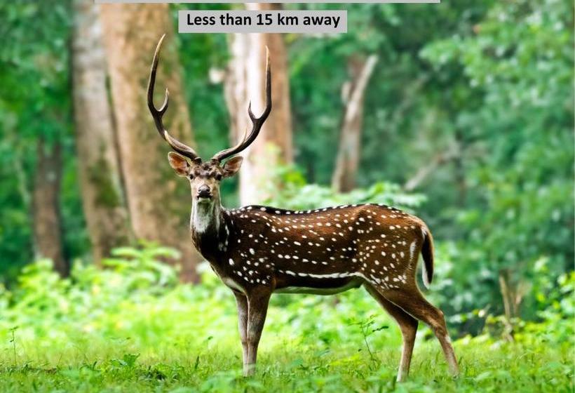 Пансион Oyo Home 65982 Graceful Stay Wynvilla Holidays