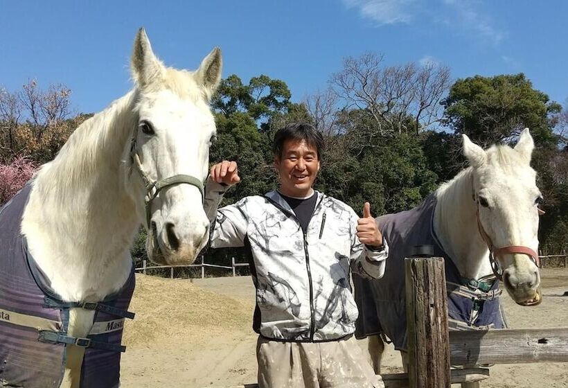 Пансион Poka Poka Village