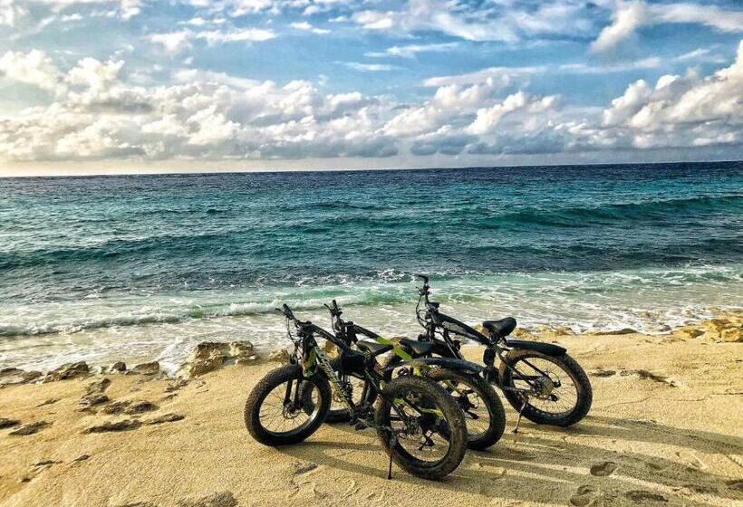 پانسیون Tiger Shark Residence & Dive