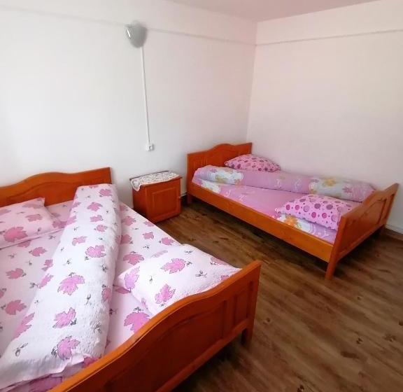 Pensiunea Poarta Lui Ionele