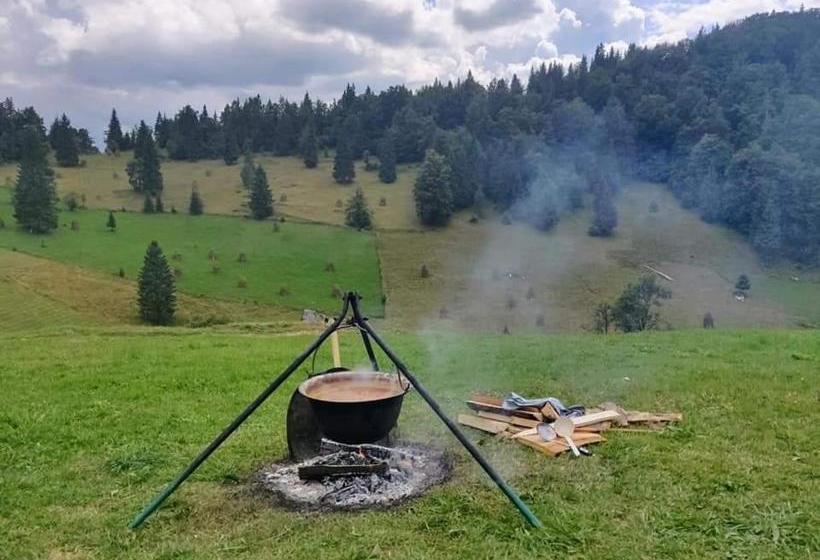 Pensiunea Poarta Lui Ionele
