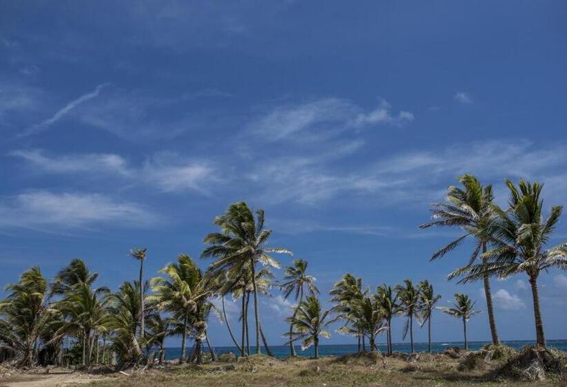 هاستل Villa Sarie Bay