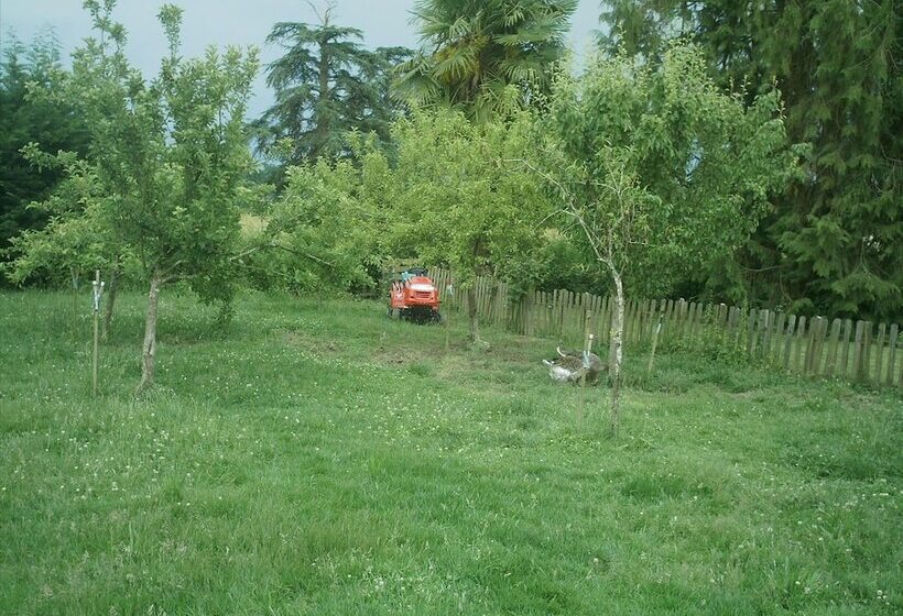 ベッドアンドブレックファースト Arret Et Aller