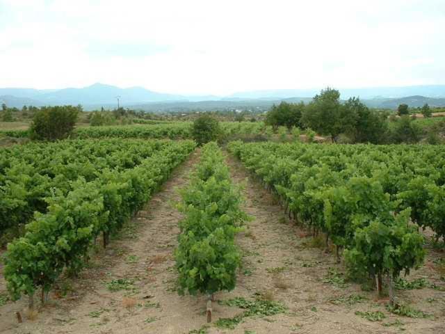 مبيت وإفطار Domaine De Peyre Brune