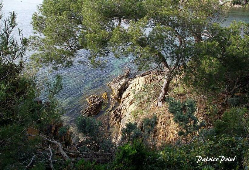 Bed and Breakfast La Maison Du Port