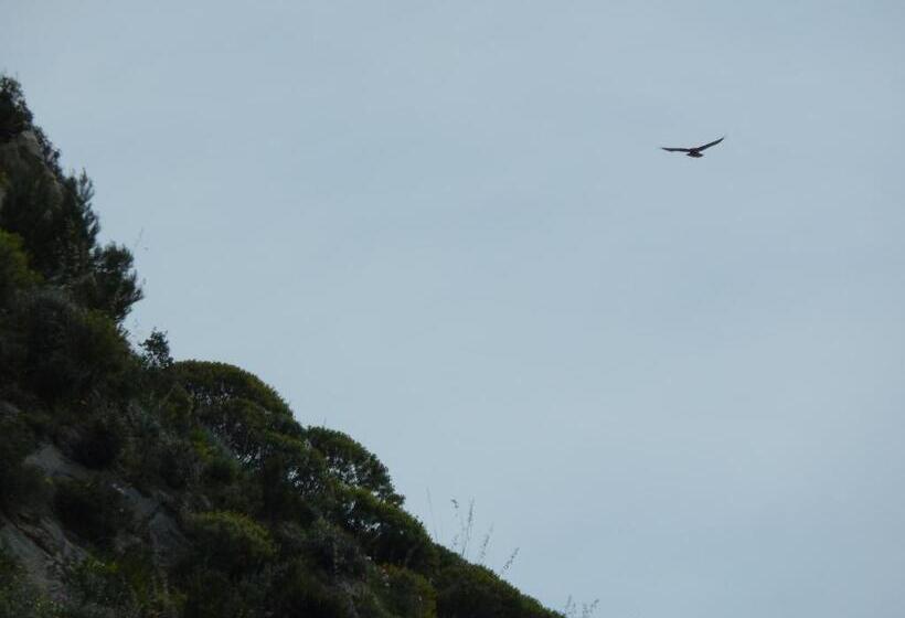 فندق Agriturismo Casebianche