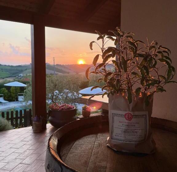 Отель Agriturismo Emidio Pepe