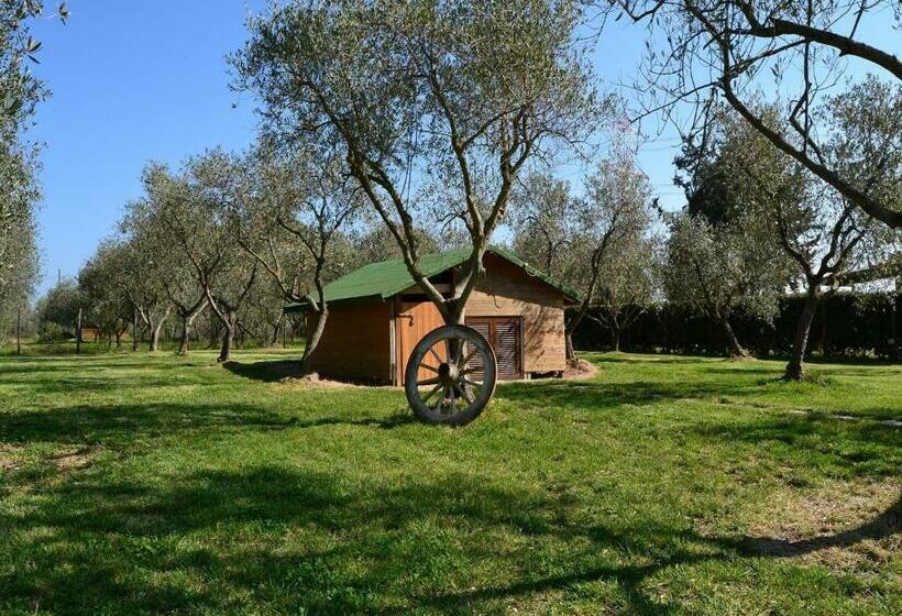 호텔 Agriturismo Il Giglio Di Sant  Antonio