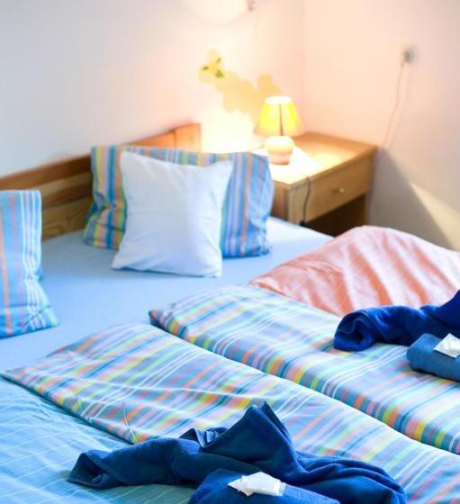 酒店 Borovansky Mlyn