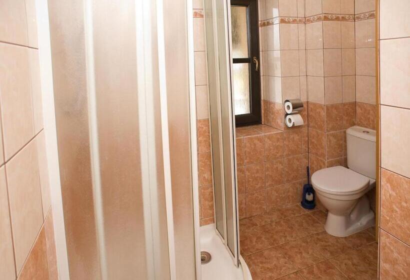 酒店 Borovansky Mlyn