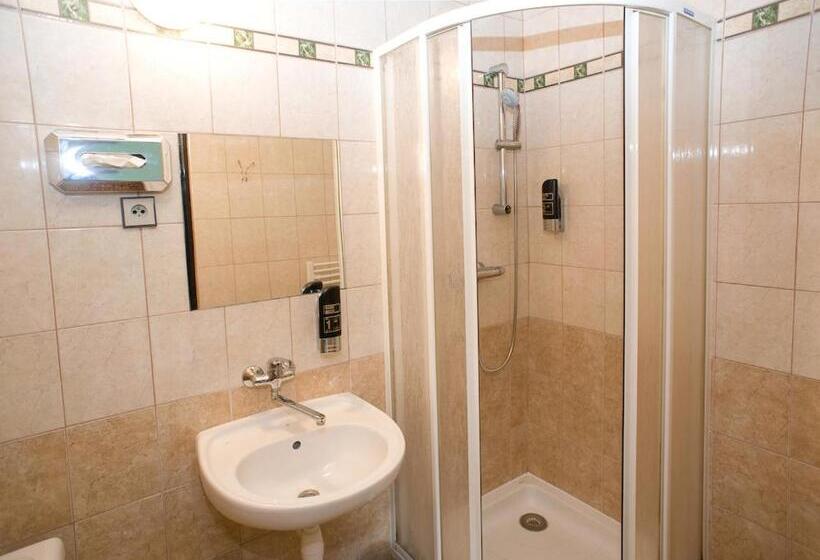 酒店 Borovansky Mlyn