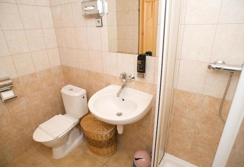 酒店 Borovansky Mlyn