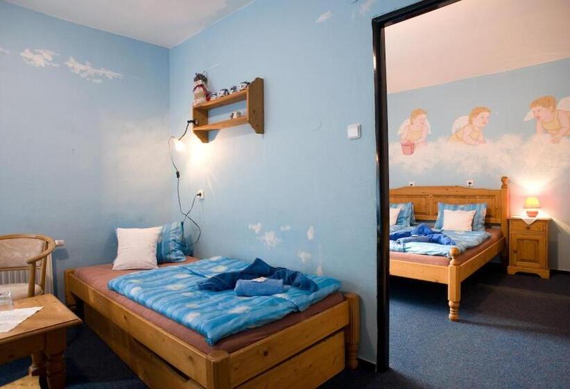 酒店 Borovansky Mlyn