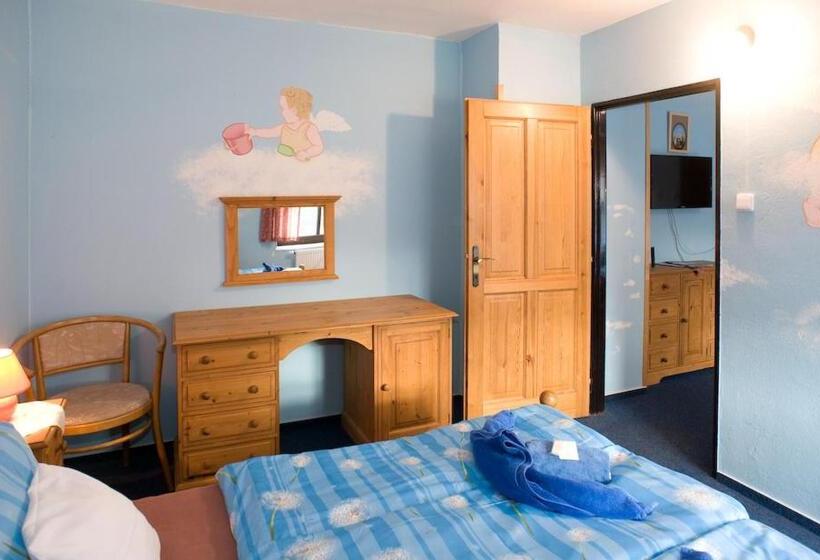 酒店 Borovansky Mlyn