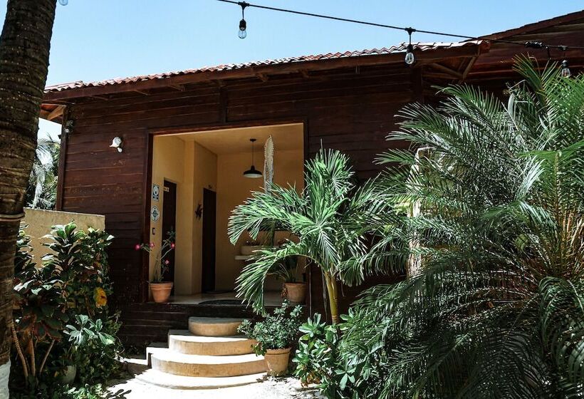 Coconut By óol Hotels