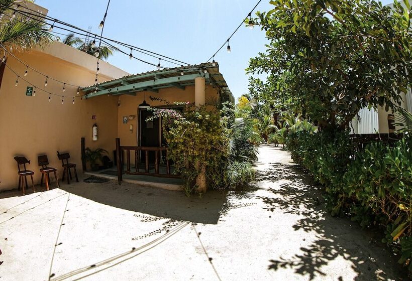 Coconut By óol Hotels