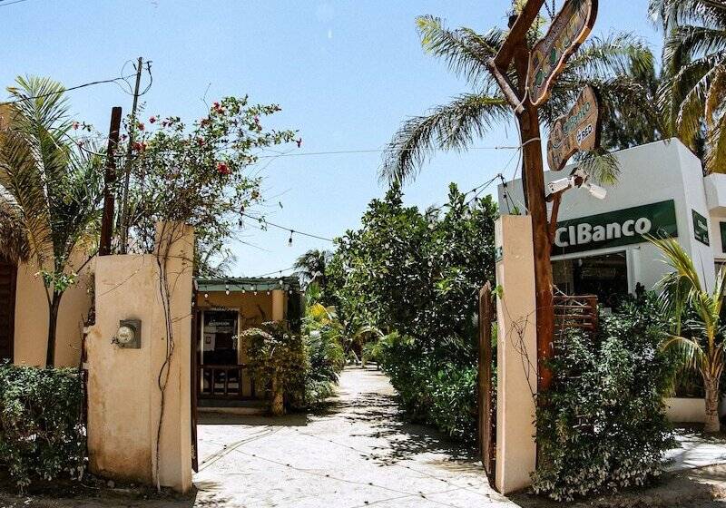 Coconut By óol Hotels