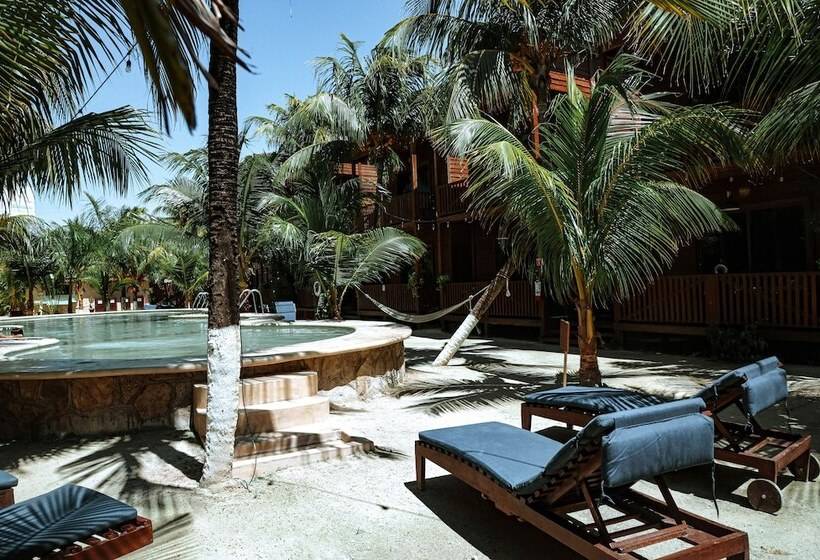 Coconut By óol Hotels