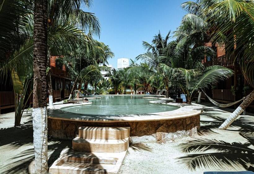 Coconut By óol Hotels