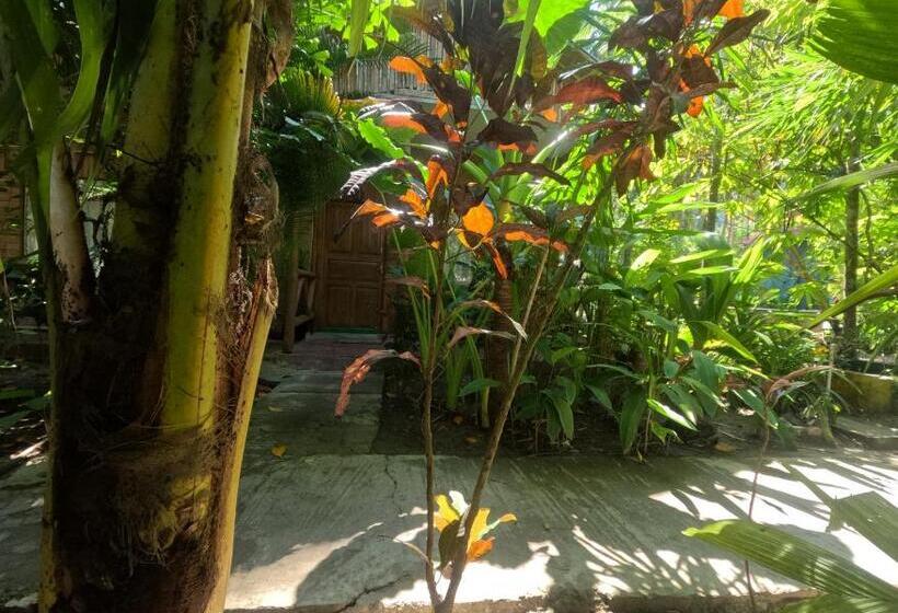 ホテル Havelock Farms Resort