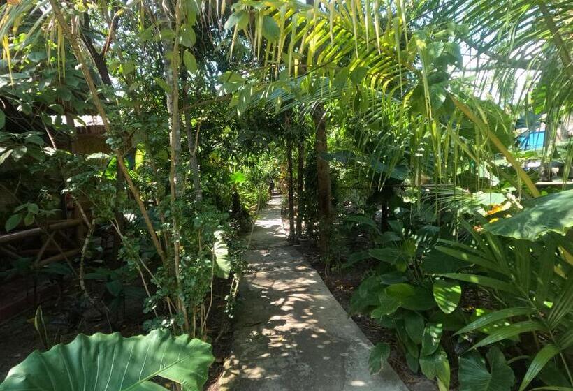 ホテル Havelock Farms Resort