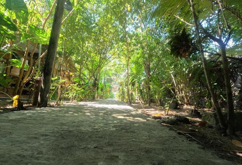 ホテル Havelock Farms Resort