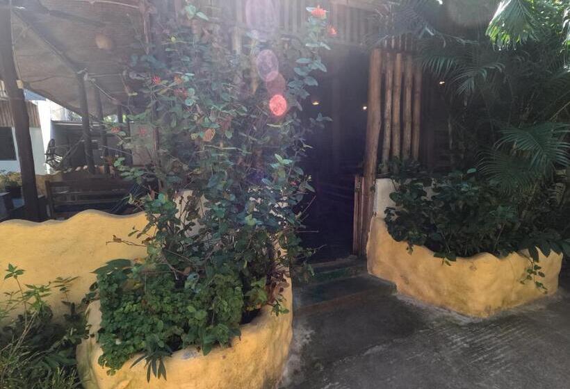 ホテル Havelock Farms Resort