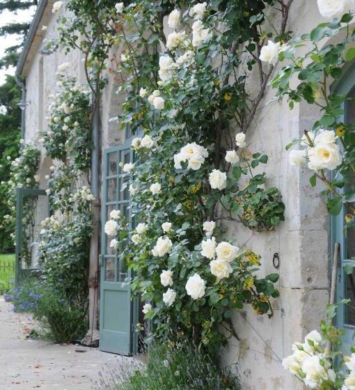 בית מלון כפרי Les Deux Ponts